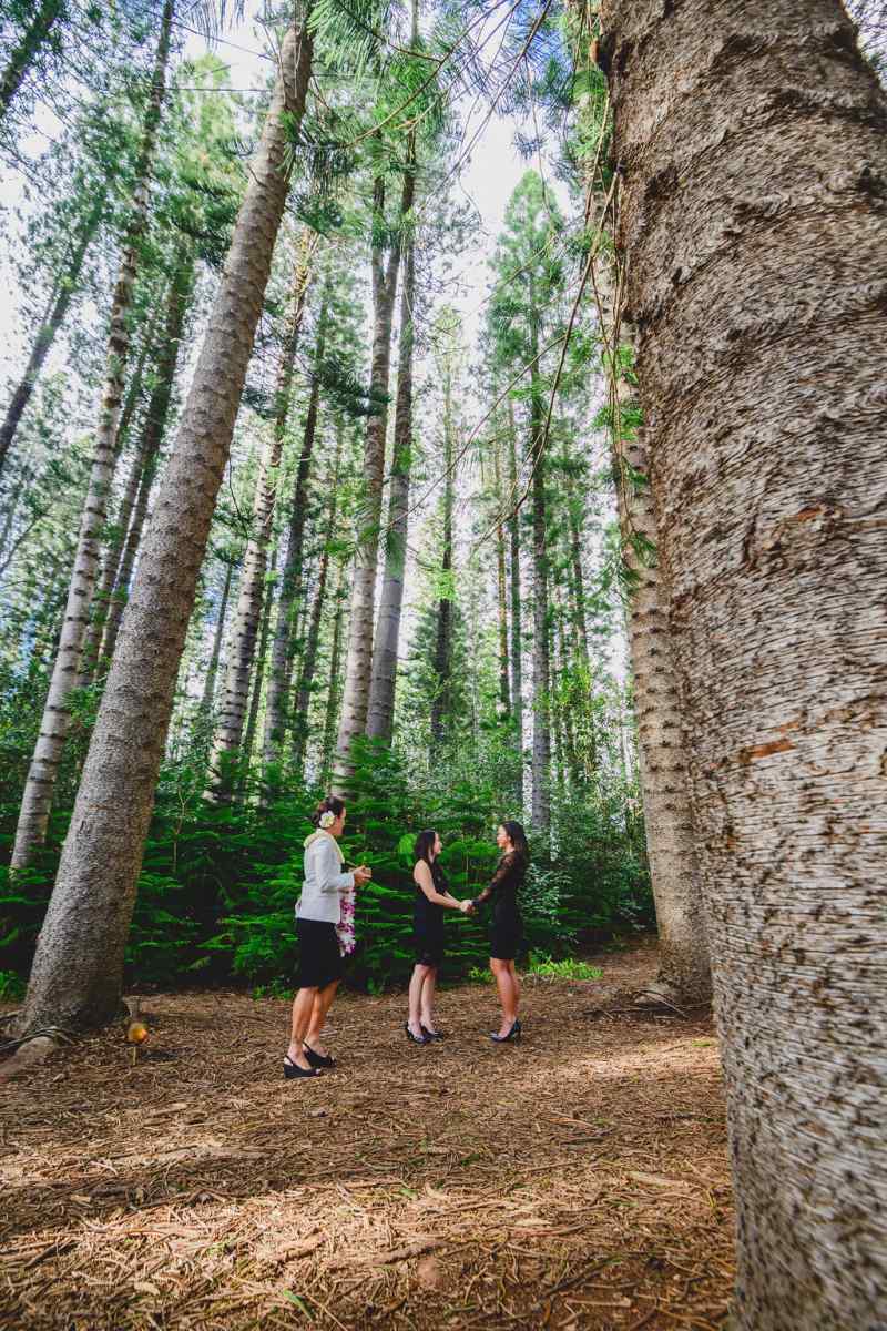 Two brides in black in Oahu forest